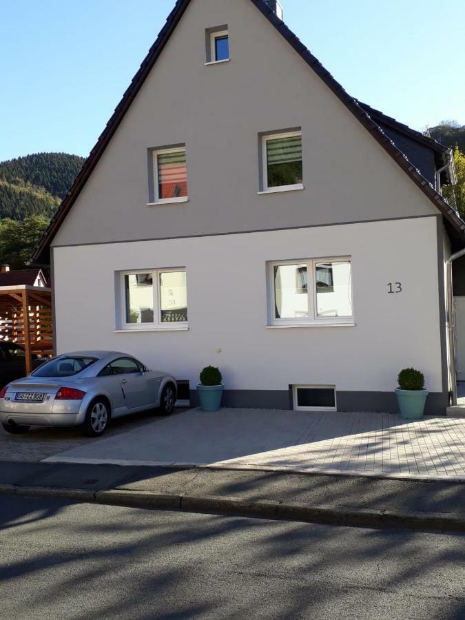 Am Koehlerhang Im Harz *
